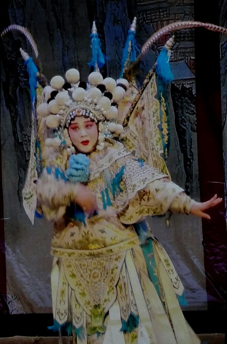 豫剧《杨门风云》焦作市豫剧院 巴秋燕 赵佳玲