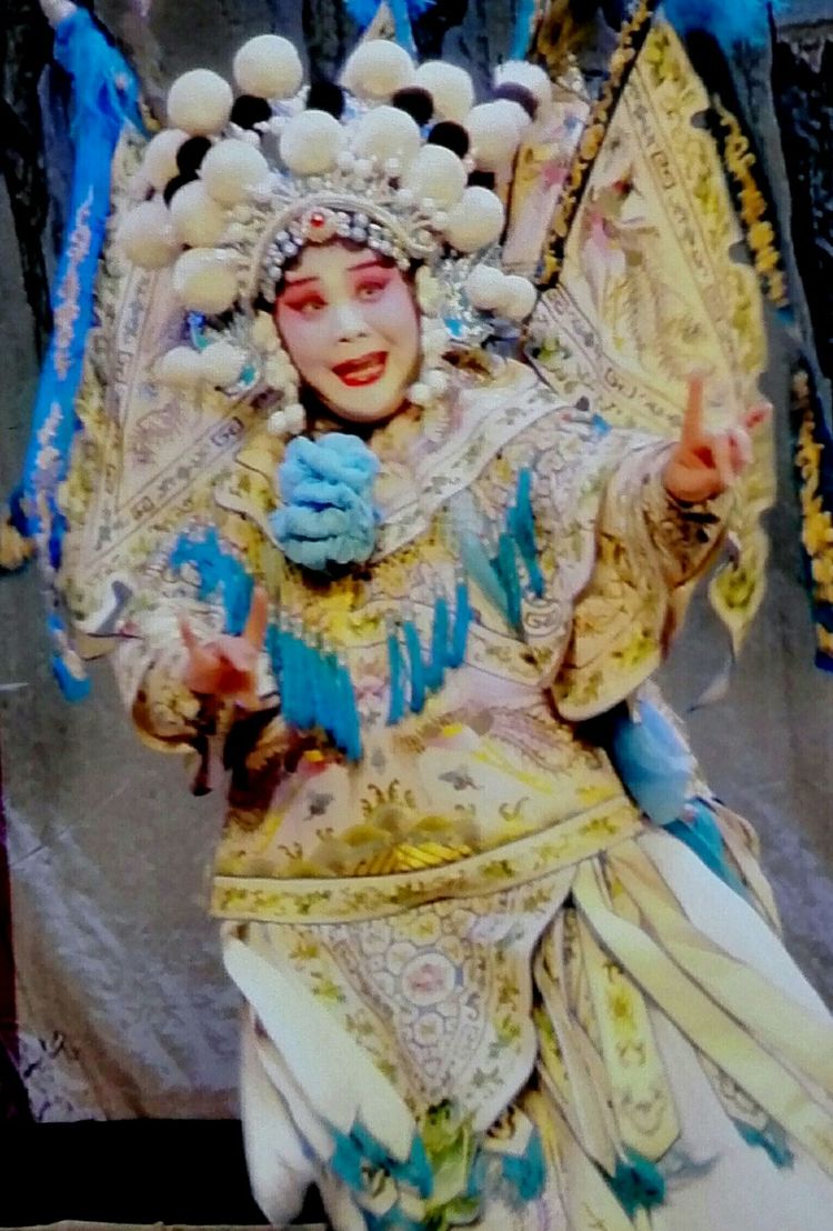 豫剧《杨门风云》焦作市豫剧院 巴秋燕 赵佳玲