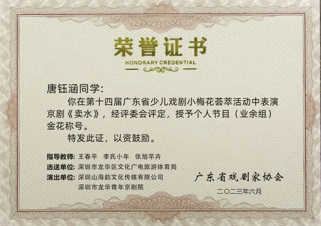 龙华小戏娃荣获小梅花金花十佳