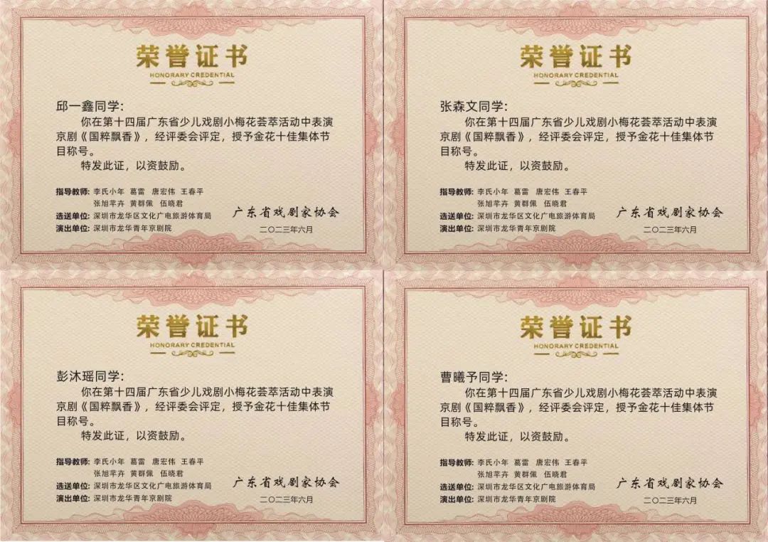 龙华小戏娃荣获小梅花金花十佳