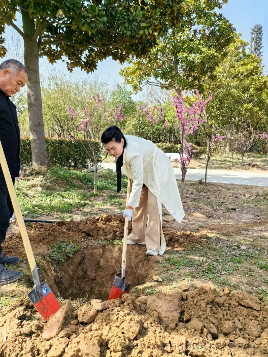 越调名家申小梅携全团演职员为申凤梅纪念园添植新绿