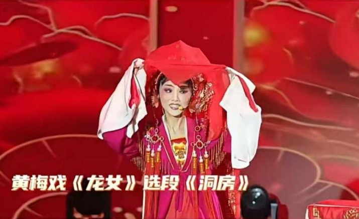 第十一届全国残疾人艺术汇演戏曲类比赛