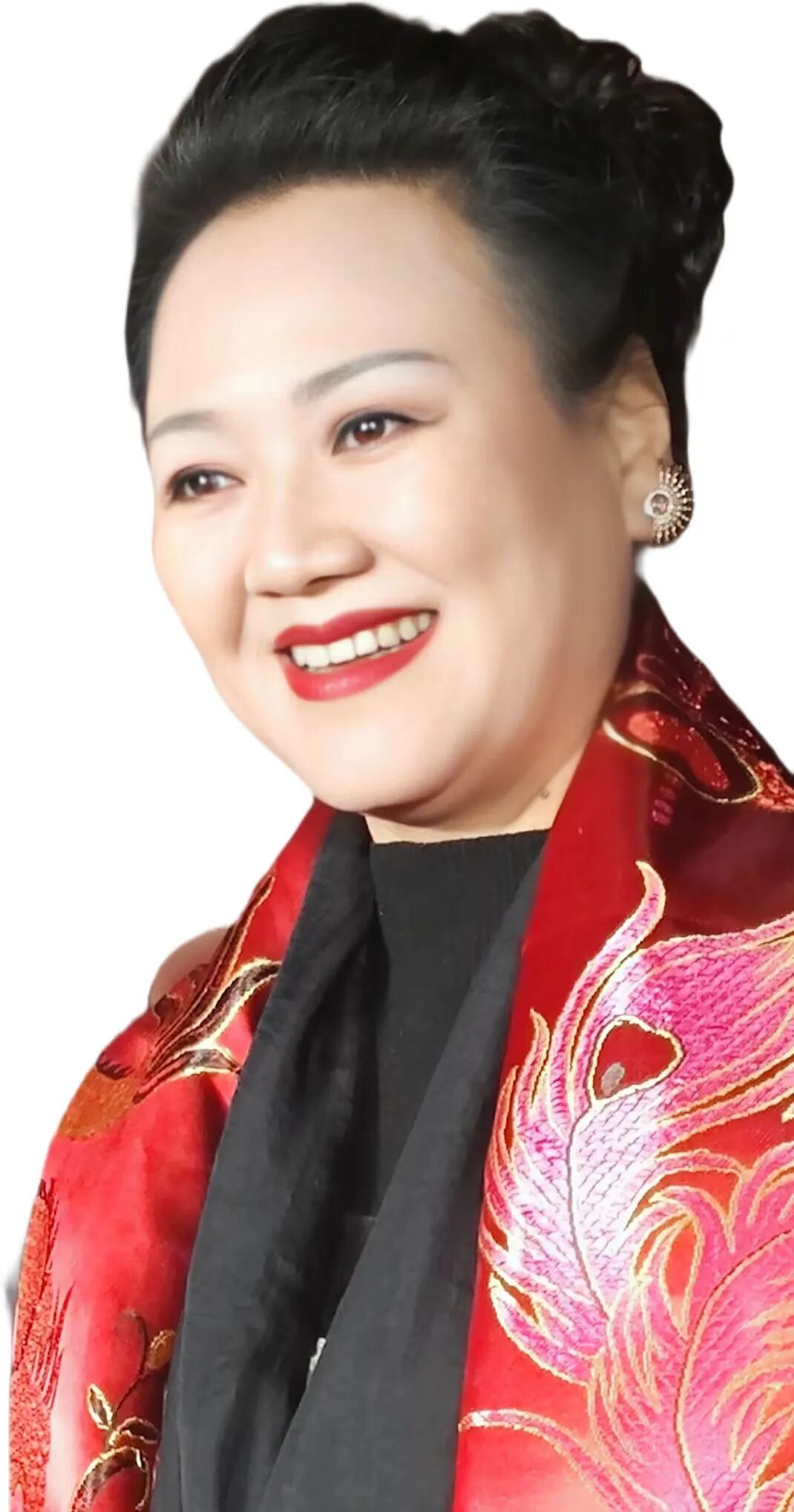 张望,国家一级演员