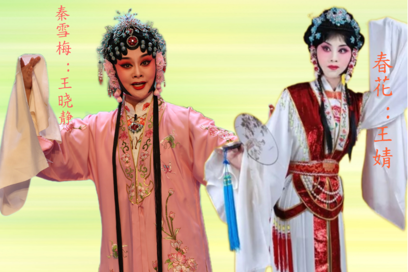 通州区优秀剧目惠民演出豫剧专场《秦雪梅》