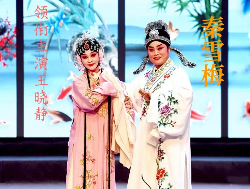通州区优秀剧目惠民演出豫剧专场《秦雪梅》