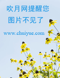 ÷ϷӰӾ硢̨磩